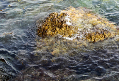 岩石在波涛汹涌的大海里。