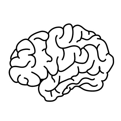 平面风格的人脑侧视图涂鸦插图