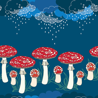 鹅膏菌和雨云的无缝模式