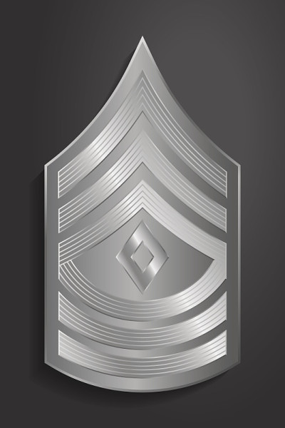 军衔和徽章。军队的条纹和Chevrons