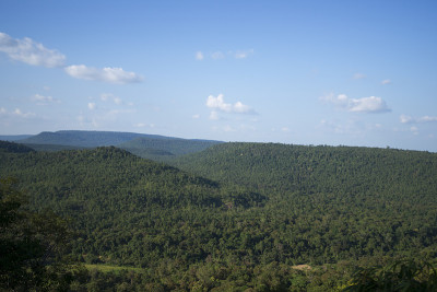 山