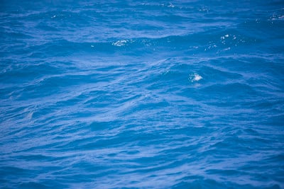 海