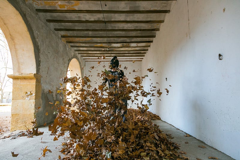 woman with hat throwing dry leaves in the air