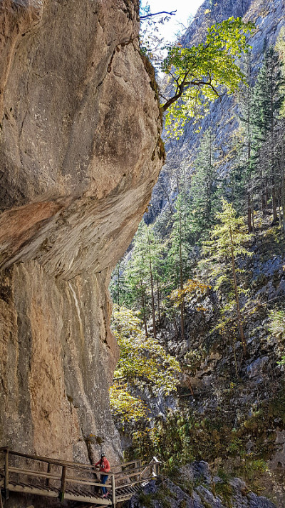Baerenschuetzklamm——一名身穿粉色连帽衫的女子在奥地利阿尔卑斯高山峡谷的木制梯子上