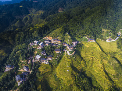 龙胜的稻田