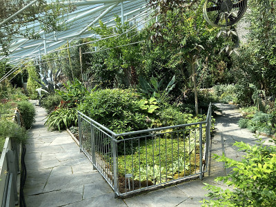 阿尔卑斯之家或Alpinenhaus -圣加伦植物园或der Botanische Garten S