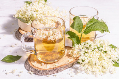 接骨木花茶