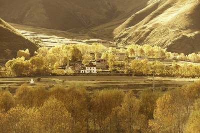 gold tibetan village
