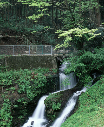 Hakoshima水