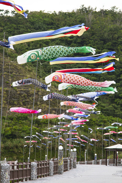 鲤鱼等浮电缆