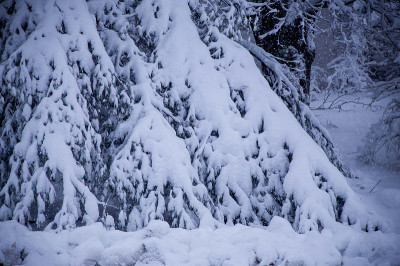 美丽的雪