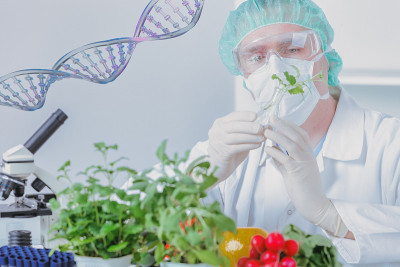 转基因植物研究员