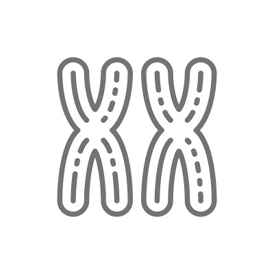 女性XX染色体，女性性别，基因线图标。
