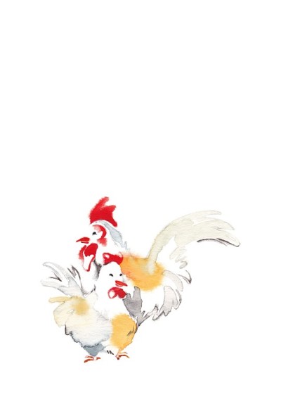 鸡