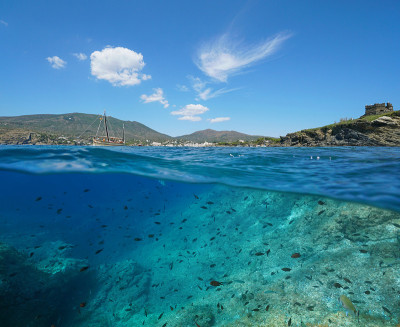 西班牙地中海沿岸有鱼类