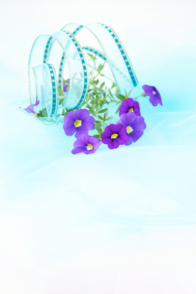 佩妮的花束
