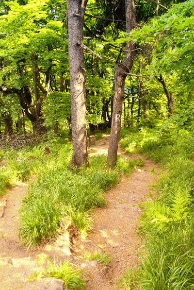 Rennsteig