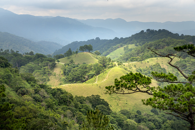 这是越南平顺省松茂自然保护区的大能潘勇徒步路线，途经草山和森林