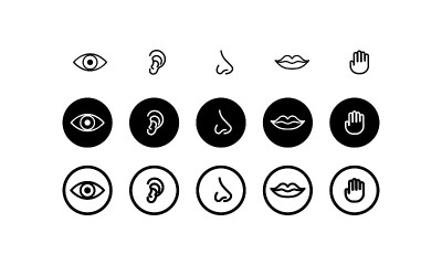 Five human senses. Hearing, smell, sight, taste an