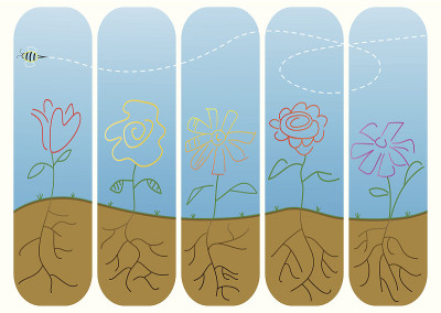 五朵花