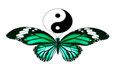 热带绿色蝴蝶。在白色背景上隔离