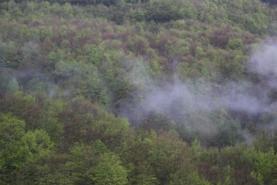 Djurdjevica Tara村的景观
