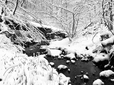 一条被大雪覆盖的小溪