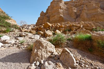 峡谷