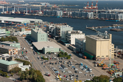 横滨港和山下公园