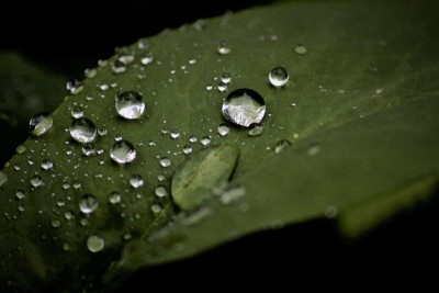 水滴