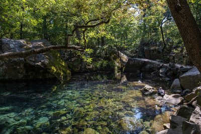 克里米亚沃龙佐夫公园，一条岩石构成的小河，河水清澈，绿树成荫。
