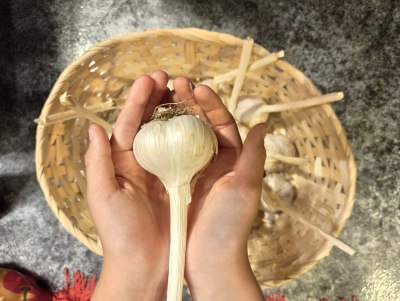香料吃饭