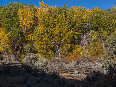 博尔德(美国犹他州)附近的Burr Trail Road