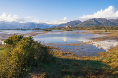 湿地景观，盐沼。自然保护区Tivat Salina，黑山