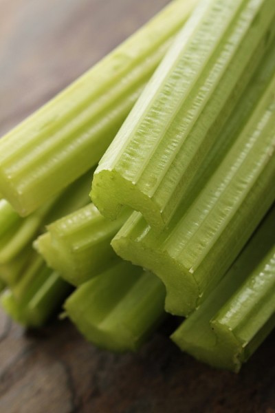 新鲜采摘的全生菜品种