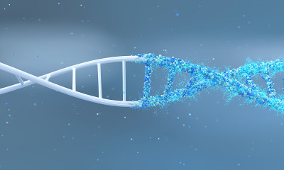 DNA分子和原子或细胞核