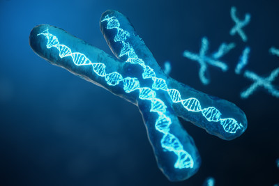 3D插图x染色体与携带遗传密码的DNA。遗传学概念，医学概念。未来,基因突变。在生物层面改变遗传密码