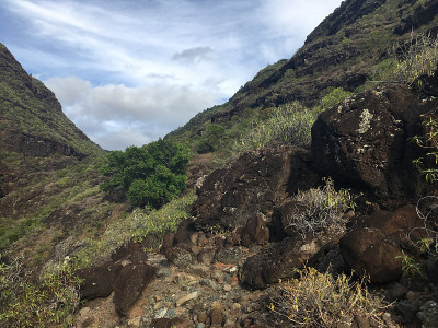夏威夷考艾岛波利黑尔海滩附近的纳帕利海岸。