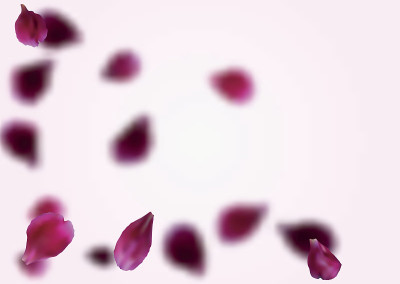 模糊的花瓣BG