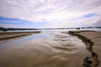 小溪流入了海沙