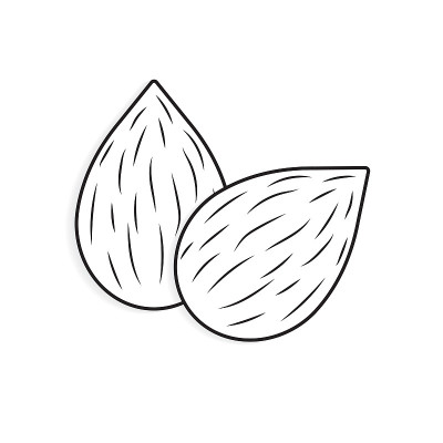 raw almond icon