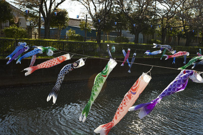 Koinobori