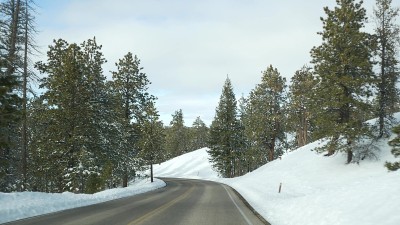 在冰雪皑皑的森林里，驾驶汽车，在美国犹他州的冬季自驾游。针叶松，从汽车到挡风玻璃的视野。圣诞节假期，