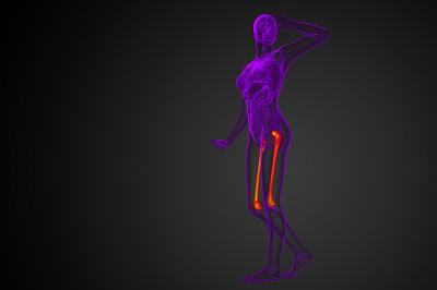 股骨的3d渲染医学插图
