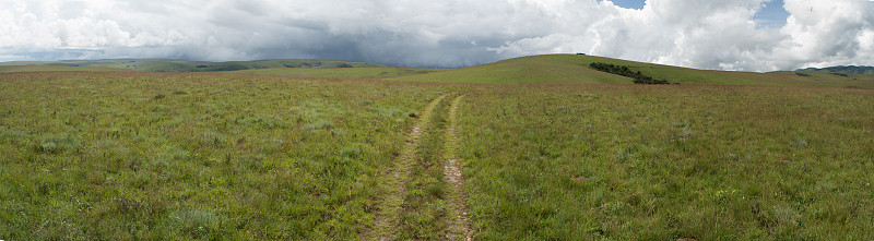 全景Nyika高原与4x4轨道在草地进入小山