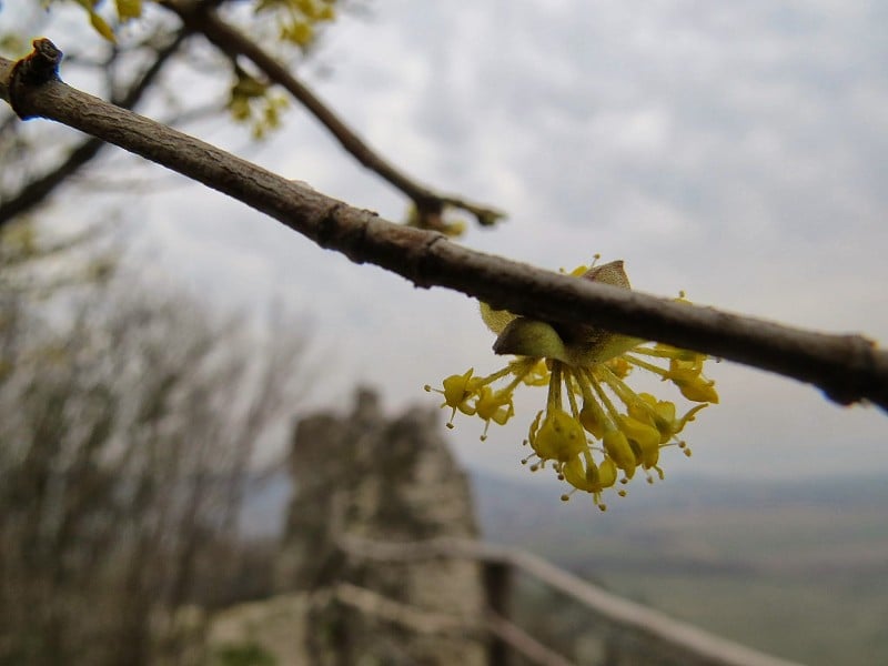 黄花城堡