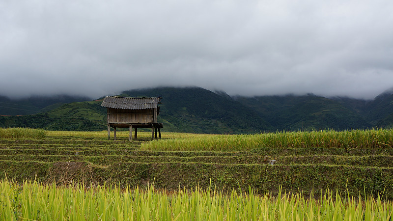 山谷里的梯田