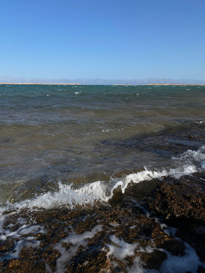 海