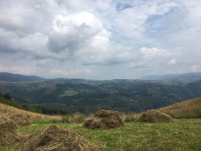 有山