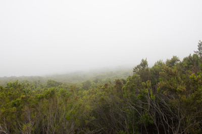 加那利群岛特内里费岛上的泰德火山